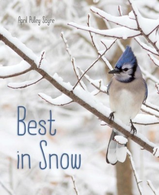 Best in Snow(English, Hardcover, Sayre April Pulley)