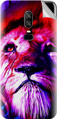 tiddler OnePlus 6 Mobile Skin(Multicolor)