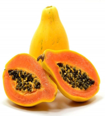 TANMAY FUN ZONE PAPAYA Seed(200 per packet)