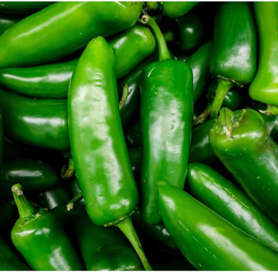 Paudha Chilli F1 Vasuda (moti mirch) Seed(56 per packet)