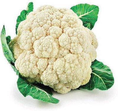 RACCOON cauliflower, full gobhi, gobhi, cauliflower Seed(1 per packet)