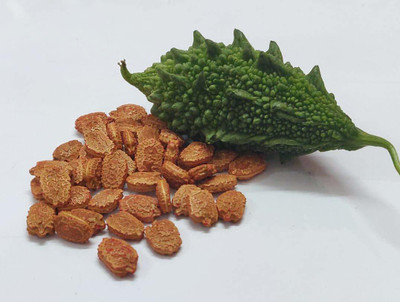 VibeX Bitter Gourd Seed(20 per packet)