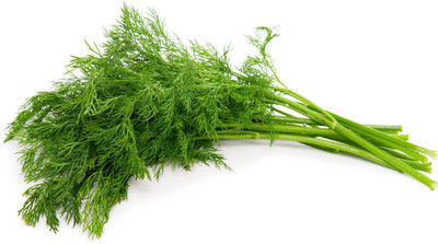 XOLDA Dill soya Seed(25 per packet)
