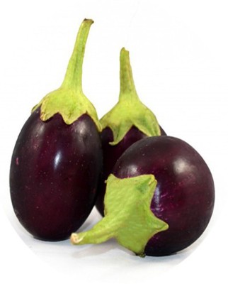 PEARL Brinjal Chu Chu Seed(80 per packet)