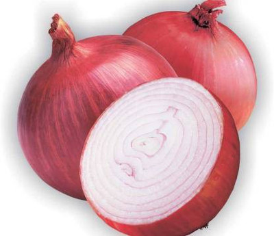 Seedshub Onion seeds Seed(50 per packet)