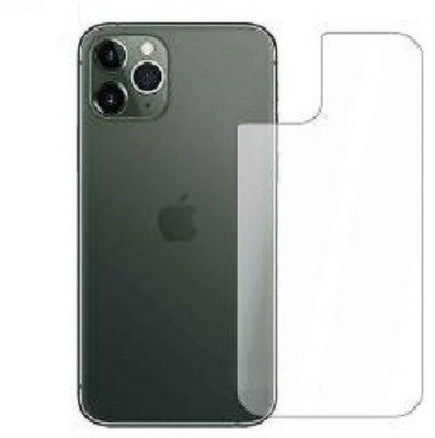 RUNEECH Back Screen Guard for Apple iPhone 12 Pro Max(Pack of 1)