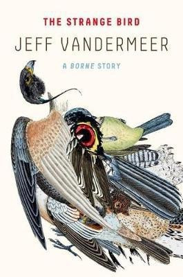 The Strange Bird(English, Paperback, VanderMeer Jeff)