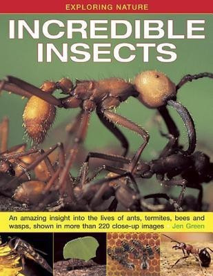 Exploring Nature: Incredible Insects(English, Hardcover, Green Jen Dr)