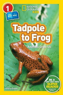 Tadpole to Frog (National Geographic Kids Readers, Level 1/Co-Reader)(English, Hardcover, National Geographic Kids Shira)