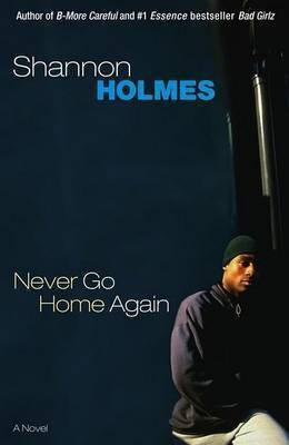 Never Go Home Again(English, Other book format, Holmes Shannon)