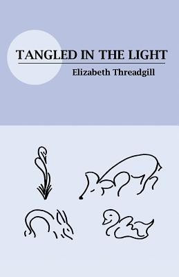 Tangled in the Light(English, Paperback, Threadgill Elizabeth)