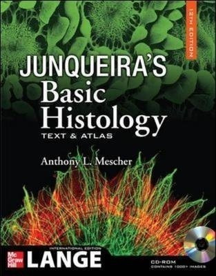 Junqueira's Basic Histology with CDROM  - Text and Atlas(English, Mixed media product, Mescher Anthony)