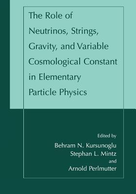 The Role of Neutrinos, Strings, Gravity, and Variable Cosmological Constant in Elementary Particle Physics(English, Paperback, unknown)