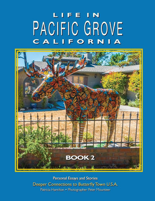 Life In Pacific Grove(English, Paperback, unknown)