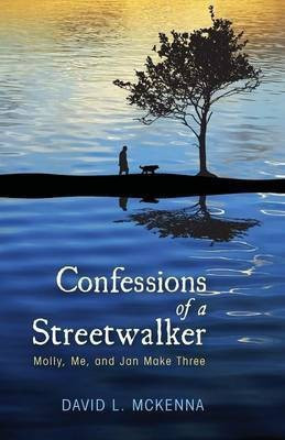 Confessions of a Streetwalker(English, Paperback, McKenna David L Dr)