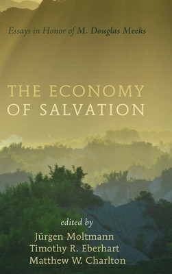 The Economy of Salvation(English, Hardcover, unknown)