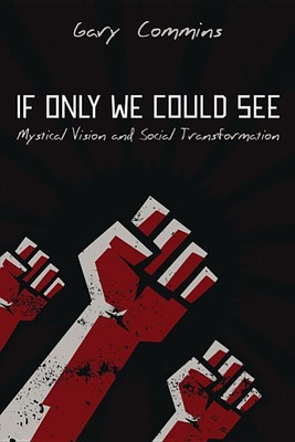 If Only We Could See(English, Hardcover, Commins Gary)