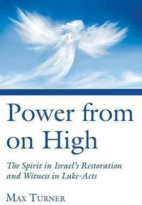 Power from on High(English, Paperback, Turner Max)