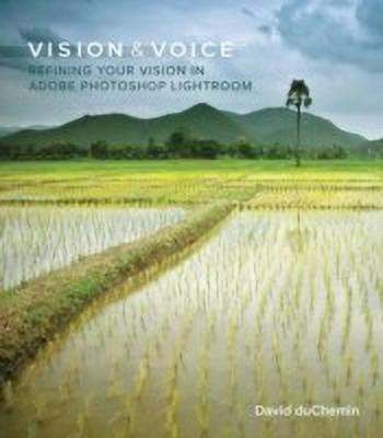 Vision & Voice(English, Paperback, DuChemin David)