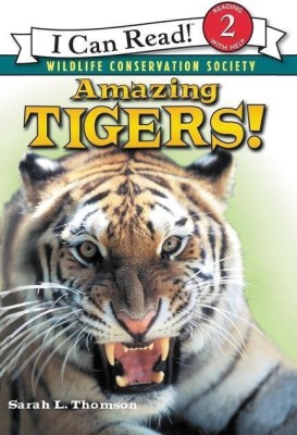 Amazing Tigers!(English, Paperback, Thomson Sarah L.)