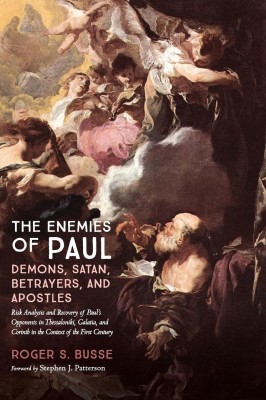 The Enemies of Paul(English, Hardcover, Busse Roger S)