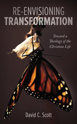 Re-Envisioning Transformation(English, Hardcover, Scott David C)