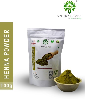 Young Herbs Organic Natural Pure Herbal Henna Powder For Hair Treatment 100 Gram Pack of 4(100 g)