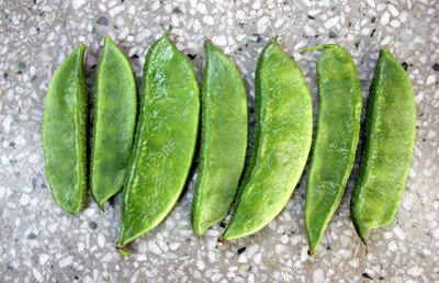 Kofy Dolicos Seed(20 per packet)
