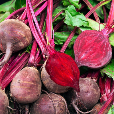ME Traders Beetroot Seed(20 per packet)