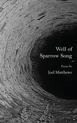Well of Sparrow Song(English, Paperback, Matthews Joel)
