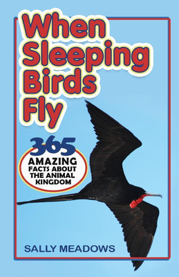 When Sleeping Birds Fly(English, Paperback, Meadows Sally)