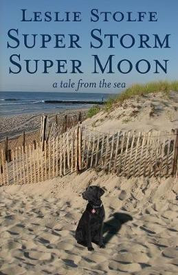 Super Storm Super Moon(English, Paperback, Stolfe Leslie)
