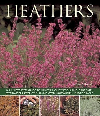 Heathers(English, Paperback, Mikolajski Andrew)