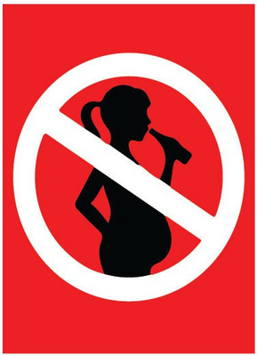 VVWV NO ALCOHOL ALLOWED SIGN STICKER Emergency Sign