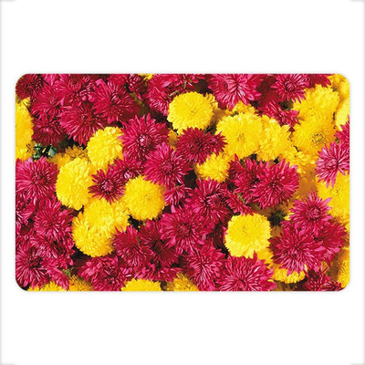SY Gifts SYGMP100 Non Slip Base Mousepad(Multicolor)