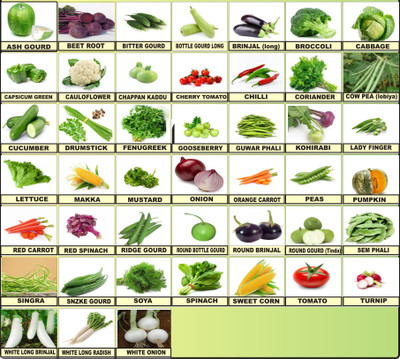 FLARE SEEDS 45 Variety Vegetables Seeds Combo Seed(50 per packet)