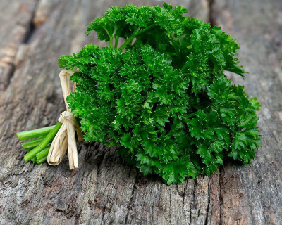 Mozette Parsley Seed(21 per packet)