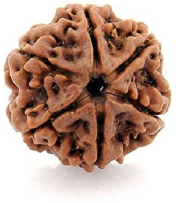 RATAN BAZAAR 6 Mukhi Rudraksha Beads Natural Shiv Beads Astrological Purpose Beads Stone