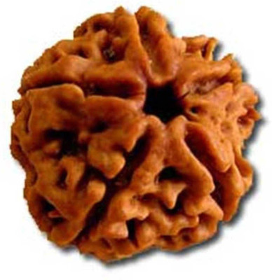 RATAN BAZAAR 5 Mukhi Rudraksha Beads Original Shiv Shakti Beads Beads Astrological Purpose Beads Wood