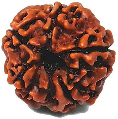 KUNDLI GEMS 5 Mukhi Rudraksha Beads Original Shiv Shakti Beads Beads Astrological Purpose Beads Wood