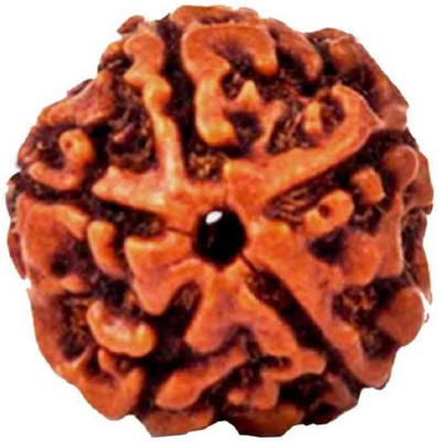 RATAN BAZAAR 5 Mukhi Rudraksha Beads Original Shiv Shakti Beads Beads Astrological Purpose Beads Stone