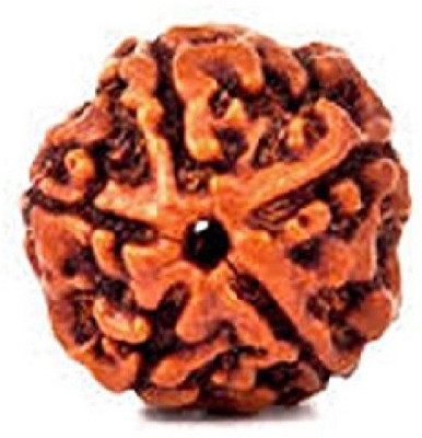 RATAN BAZAAR 5 Mukhi Rudraksha Beads Original Shiv Shakti Beads Beads Astrological Purpose Beads Stone