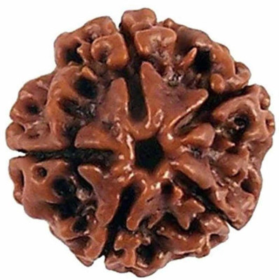 KUNDLI GEMS 5 Mukhi Rudraksha Beads Original Shiv Shakti Beads Beads Astrological Purpose Beads Wood