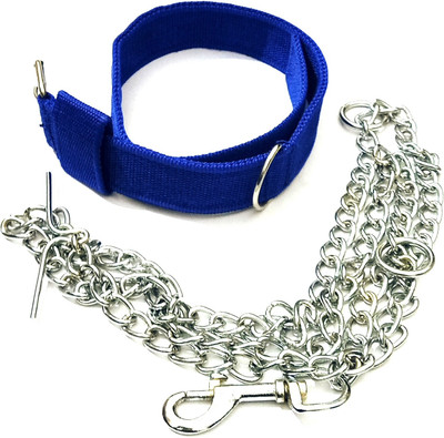 havish Dog Collar & Chain(Extra Large, Blue, Silver)