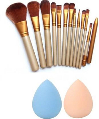 FEGURO Professional Makeup Brush Set Of 12 + 2 Pc Beauty Blender(14 Items in the set)