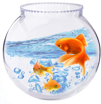 Vijyas 5.4 L Fish Bowl