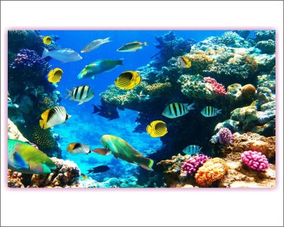 Jagvii 74 cm Sea Life in The Sea Level, Self Adhesive Sticker(Pack of 1)