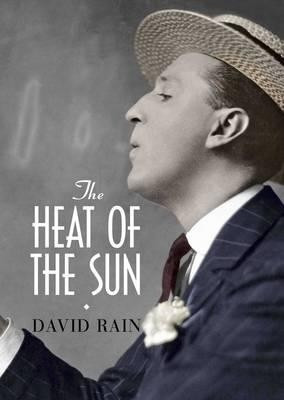 The Heat of the Sun(English, Paperback, Rain David)