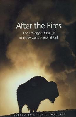 After the Fires(English, Electronic book text, Wallace Linda L)