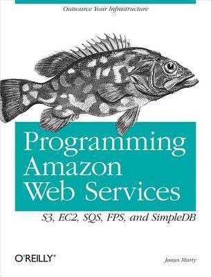 Programming Amazon Web Services(English, Electronic book text, Murty James)